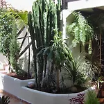 Aptos Monasterio De San Antonio 3 Апартаменты Икод-де-лос-Винос