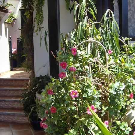 Aptos Monasterio De San Antonio 3 이코드레로스비노스