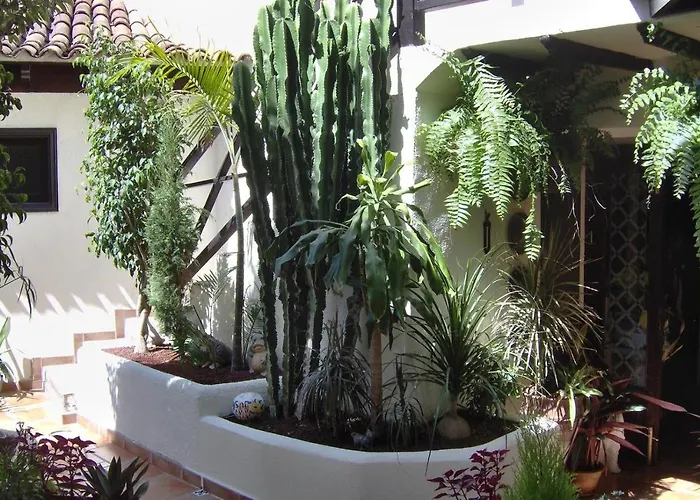 Aptos Monasterio De San Antonio 3 Apartament Icod De Los Vinos