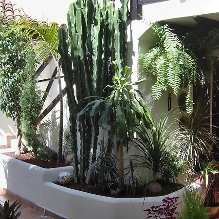 Aptos Monasterio De San Antonio 3 Apartment Icod De Los Vinos